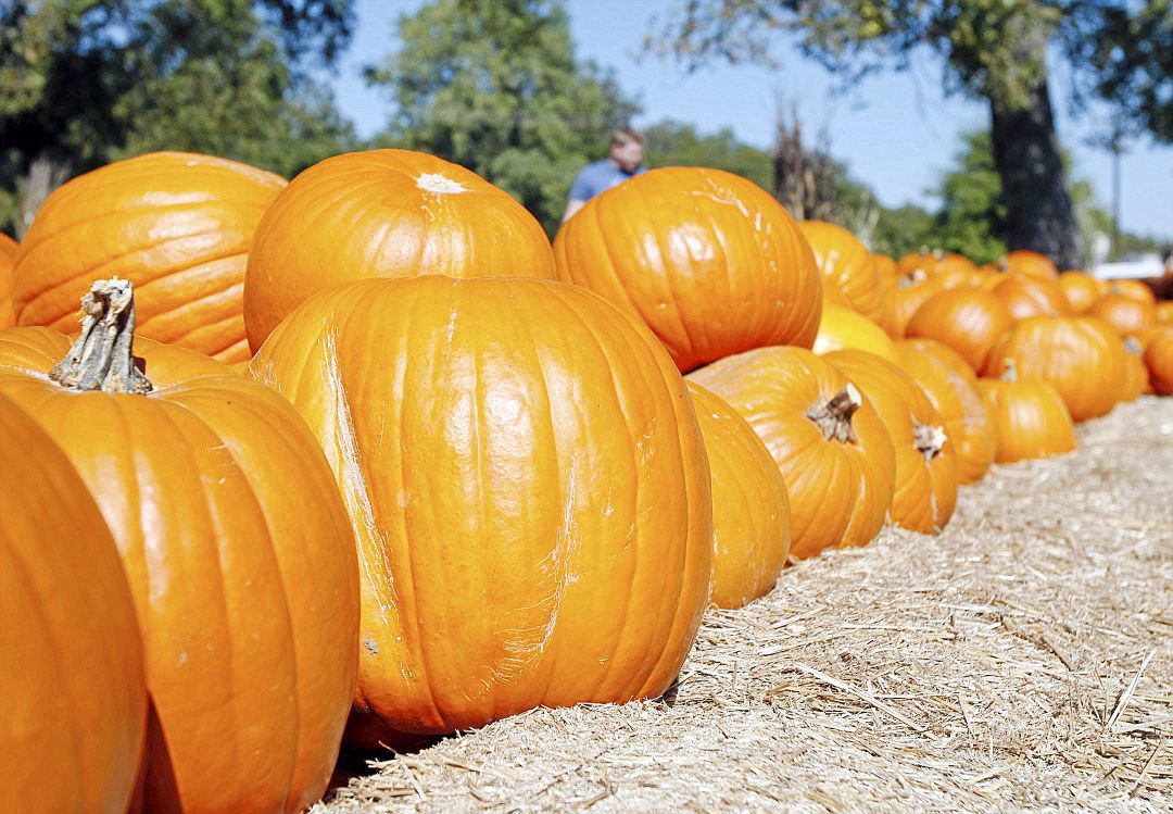 St. Stephen’s United Methodist Church Pumpkin Patch